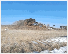  2025Ÿ��407 �泲 ������ ������ �鼮�� 150-8      ����(�Ӿ�)���