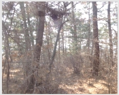  2025Ÿ��529  �Ӿ߰��