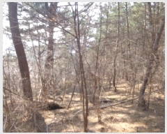  2025Ÿ��529  �Ӿ߰��