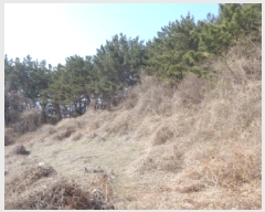  2025Ÿ��529  �Ӿ߰��