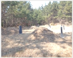  2025Ÿ��529  �Ӿ߰��