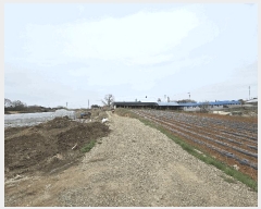  2025Ÿ��550 �泲 ������ �۾��� ���븮 556-1      ����(��1)���