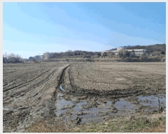  2025Ÿ��558 �泲 ������ ������ ���θ� 967      ����(��)���