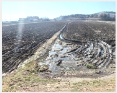  2025Ÿ��558 �泲 ������ ������ ���θ� 967      ����(��)���