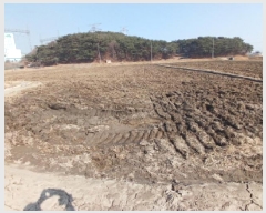  2025Ÿ��558 �泲 ������ ������ ���θ� 967      ����(��)���