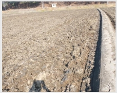  2025Ÿ��558 �泲 ������ ������ ���θ� 967      ����(��)���