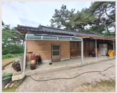  2025Ÿ��616  �����ü����