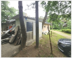  2025Ÿ��616  �����ü����