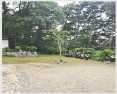  2025Ÿ��616  �����ü����