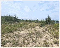  2025Ÿ��670 �泲 ������ �ۻ�� ��� 377-3      ����(�Ӿ�)���