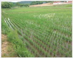  2025Ÿ��685  ����