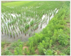  2025Ÿ��685  ����