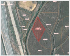  2025Ÿ��685  ����