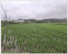  2025Ÿ��685  ����