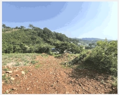  2025Ÿ��687 �泲 ������ ���̸� ���縮 680-1      ����(��1)���