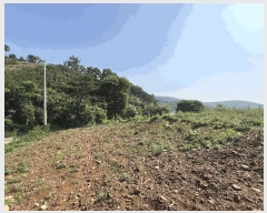  2025Ÿ��687 �泲 ������ ���̸� ���縮 680-1      ����(��1)���