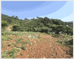  2025Ÿ��687 �泲 ������ ���̸� ���縮 680-1      ����(��1)���