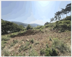  2025Ÿ��687 �泲 ������ ���̸� ���縮 680-1      ����(��1)���