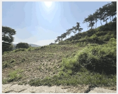  2025Ÿ��687 �泲 ������ ���̸� ���縮 680-1      ����(��1)���