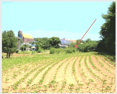  2025Ÿ��696  �����