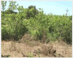  2025Ÿ��696  �����