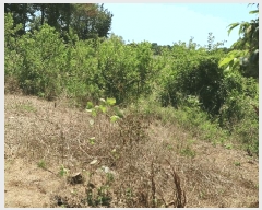  2025Ÿ��696  �����