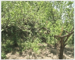  2025Ÿ��696  �����