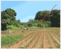  2025Ÿ��696  �����