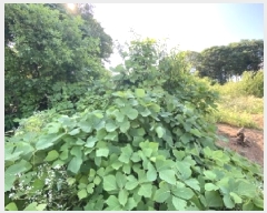  2025Ÿ��696  �����