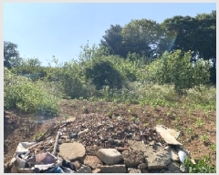  2025Ÿ��696  �����