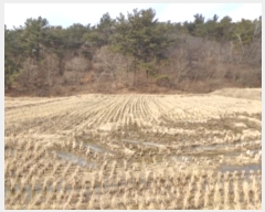  2025Ÿ��50051  ����