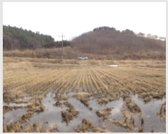  2025Ÿ��50051  ����