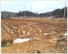  2025Ÿ��50181  ����