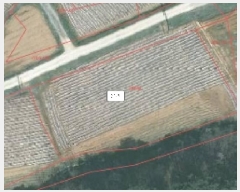  2025Ÿ��50181  ����