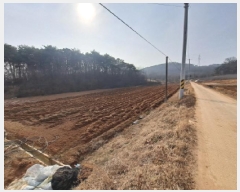  2025Ÿ��50181  ����