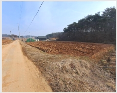  2025Ÿ��50181  ����