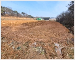  2025Ÿ��50181  ����