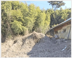  2025Ÿ��50365  �Ӿ߰��