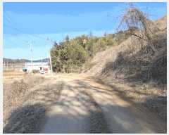  2025Ÿ��50365  �Ӿ߰��