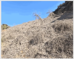  2025Ÿ��50365  �Ӿ߰��