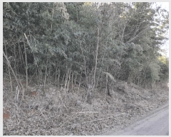  2025Ÿ��50365  �Ӿ߰��