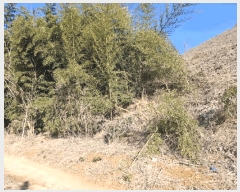  2025Ÿ��50365  �Ӿ߰��