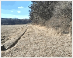  2025Ÿ��50426  ���������