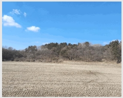  2025Ÿ��50426  ���������