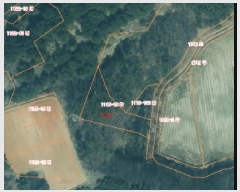  2025Ÿ��50426  ���������