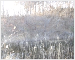  2025Ÿ��50426  ���������