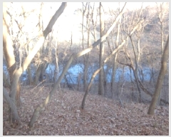  2025Ÿ��50426  ���������