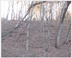  2025Ÿ��50426  ���������