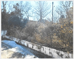  2025Ÿ��50754 �泲 ����� ���ϸ� ��⸮ 328      ���ð��