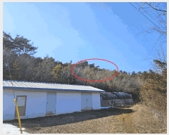  2025Ÿ��50785 �泲 ����� ����� ȯ���� 562-6      ����(�Ӿ�)���